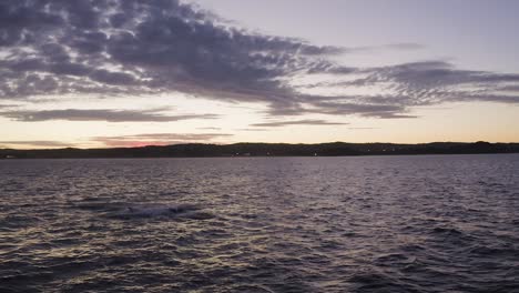 Aerial-drone-footage-of-Humpback-Whale-breaching-off-Sydney-Northern-Beaches-Coastline-during-golden-hour-sunset,-splashing-around-during-migration