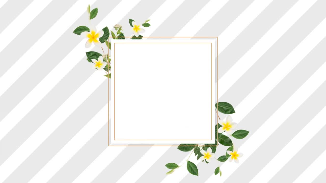 Border design with pretty white and yellow flowers and grey and white stripes