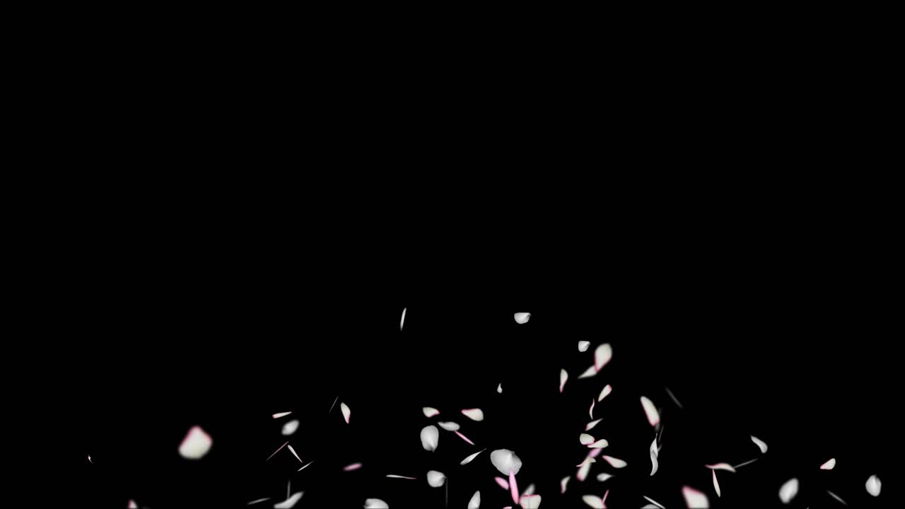 장미 꽃잎이 떨어지는 것