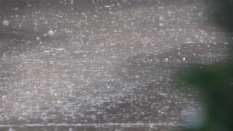 rain falling on the ground with puddles