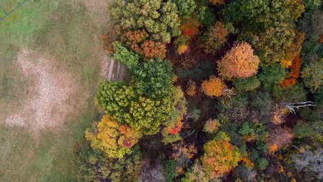 a high angle, aerial view over colorful trees in a large park on a sunny day in autumn