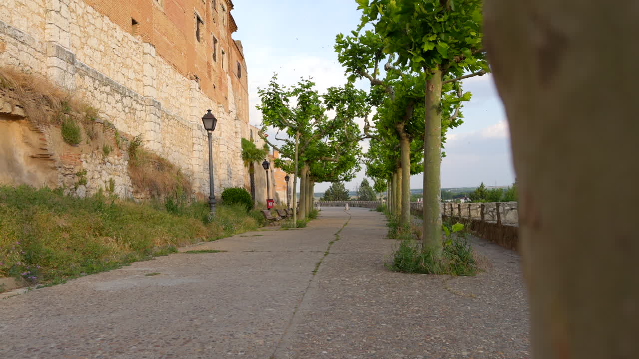 Alley between trees next to a medieval wall