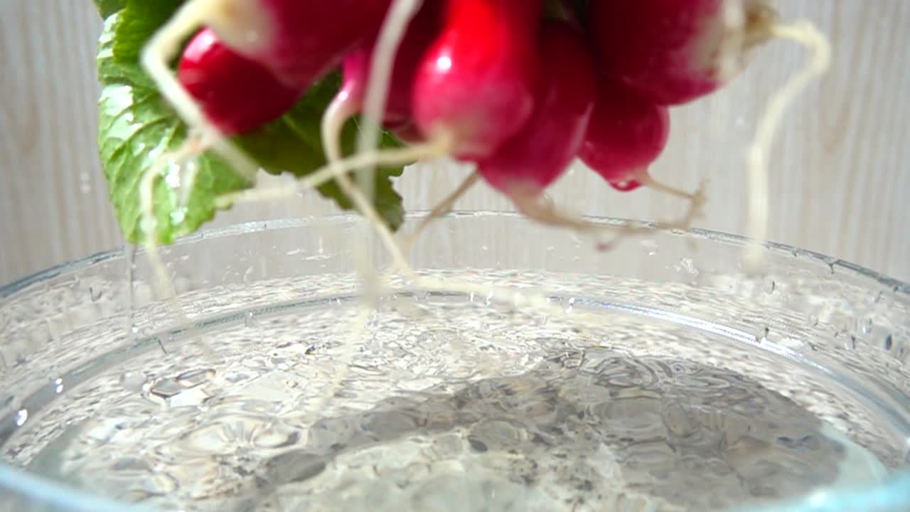 Il cuoco estrae i ravanelli dall'acqua. Movimento rallentato.