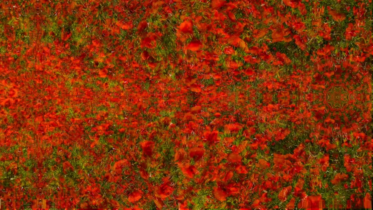 다채로운 추상적인 배경과 칼레도스코프 효과의 움직임