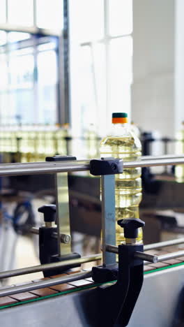 factory production line. indoor view of production of sunflower oil on conveyor. vertical video