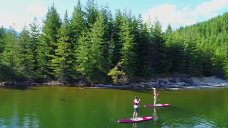 couple rowing a stand up paddle board in the river 4k