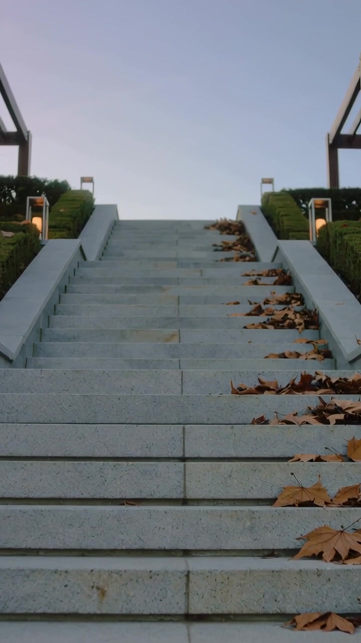 Vertical video: Panning camera showing concrete steps at outdoor landing, revealing dry leaves