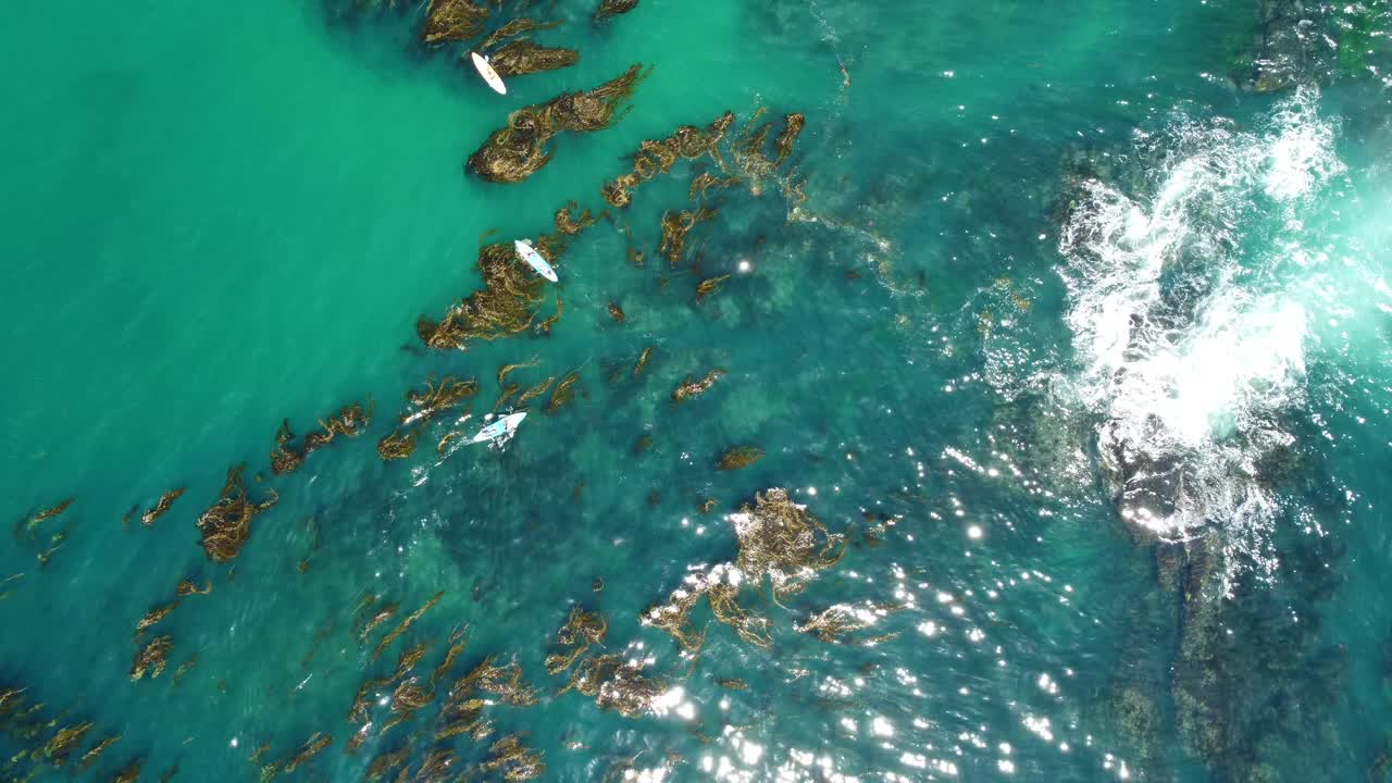 vista aérea de pájaro de kayaks en el agua del océano por laguna beach, condado de orange, ca, ee.uu., tiro de drone de ángulo alto