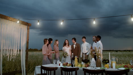 wedding party in a meadow