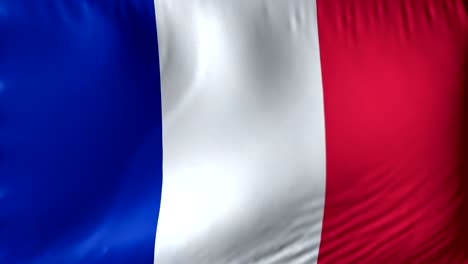 national flag of france. seamless looping 4k full realistic french flag waving against background.