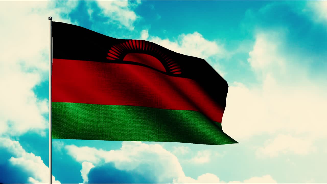 바람에 흔들리는 말라위 발