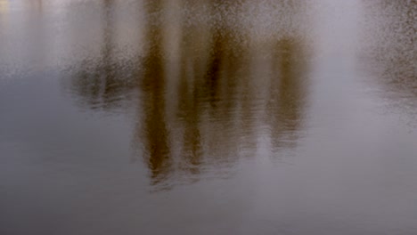 Mittlere-Aufnahme-Von-Forth-Und-Clyde-Kanalwasser,-Das-Bäume-Reflektiert