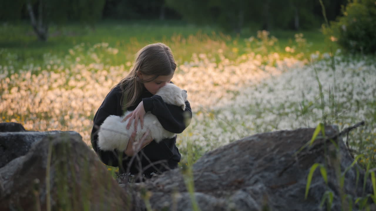 사랑스러운 소녀는 황금 시간에 골든 리트리버 새끼를  ⁇ 안고, 정적