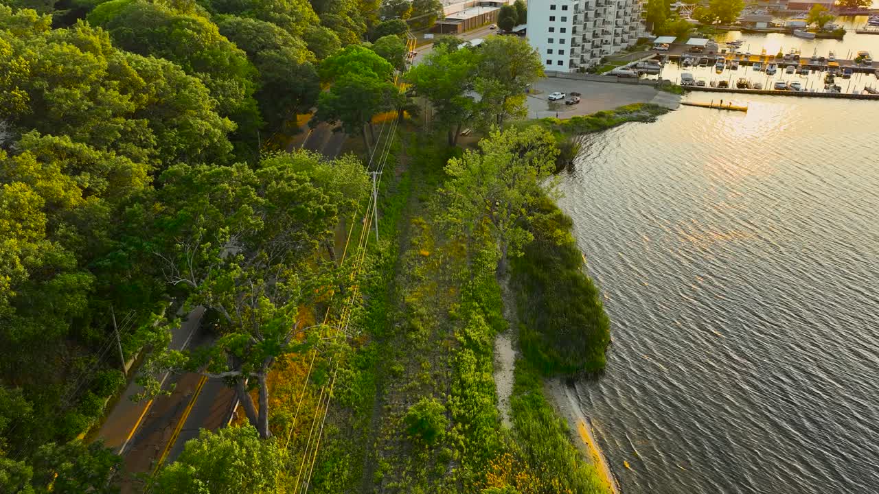 vías ferroviarias cubiertas de vegetación en una antigua zona industrial junto al lago muskegon