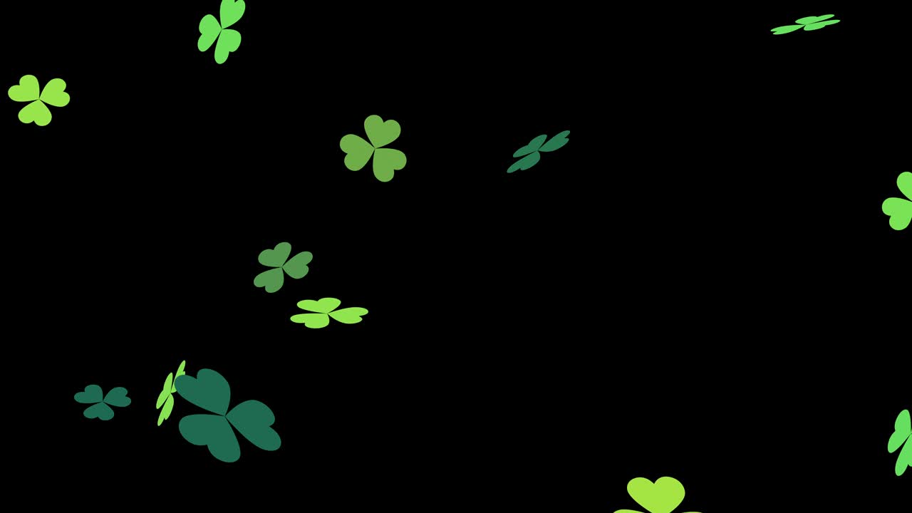 Clover leafs falling St. Patrick's day, looped | Premium Stock Video ...