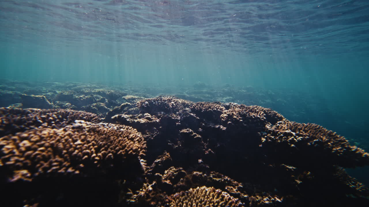 Sparkling sun light beams pass across tops of sharp jagged coral reef in Australia