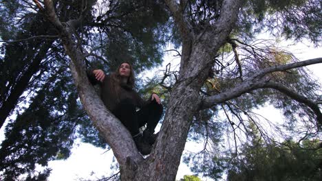 woman sitting in a tree