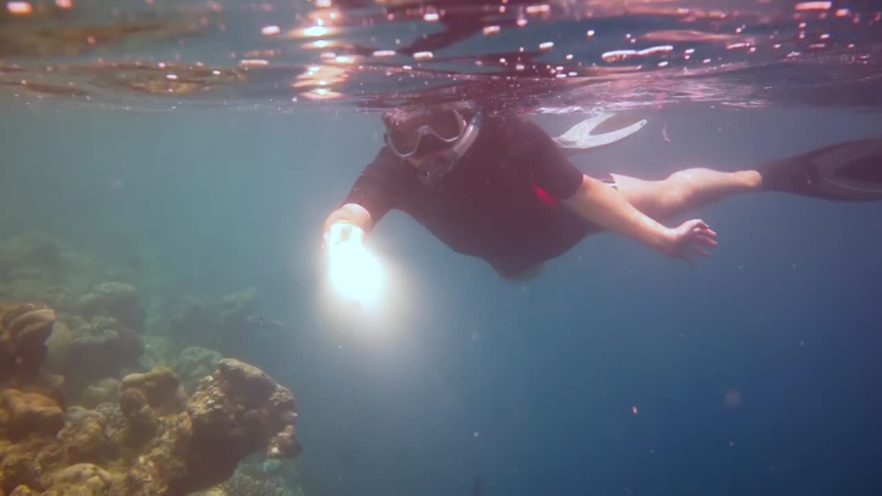 몰디브 의 산호초