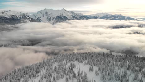 aerial tilt-up shot over a snow-capped mountain with pines and low clouds in revelstoke national park, canada