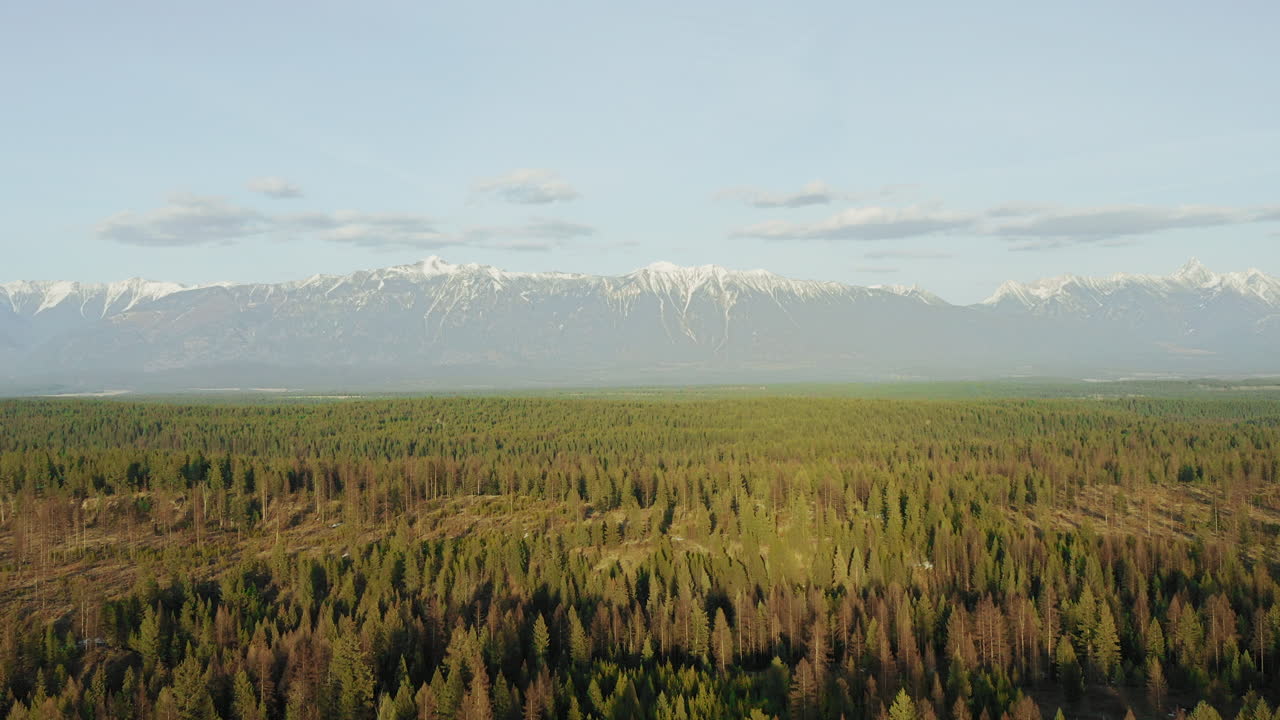 вечнозеленые деревья на закате простираются на километры в скалистые горы