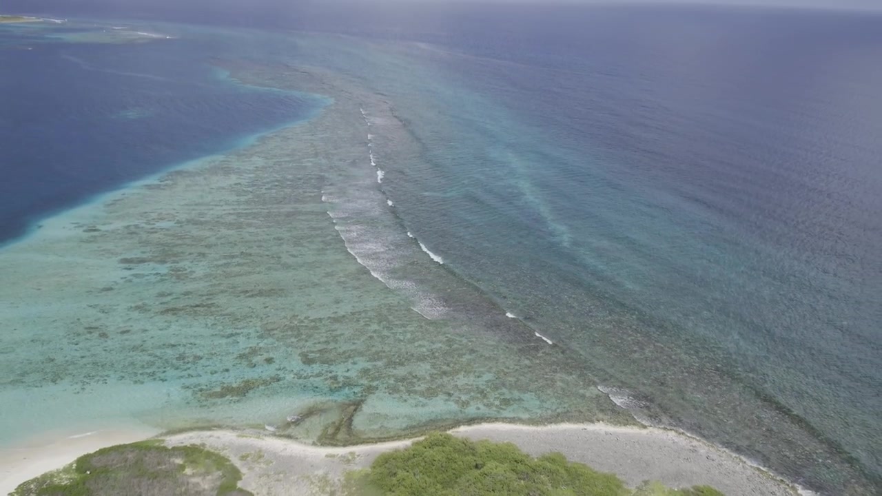 Acque vivaci turchesi e verdi della barriera corallina che mostrano trame marine dall'alto, vista aerea.