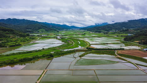 Lapso-De-Tiempo-Aéreo-Hacia-Adelante-Escénico-Arrozal-Y-Paisaje-Nublado,-Corea-Del-Sur