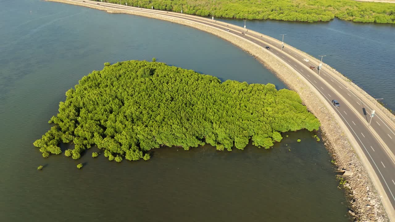 4K drone aerial of a scenic coastal road with cars driving past lush mangroves and blue water in the Philippines. Perfect for travel, transportation, and environmental projects