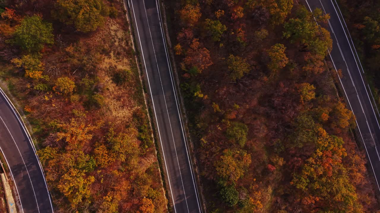 Stunning aerial view of a winding road through autumn trees in Bulgaria
