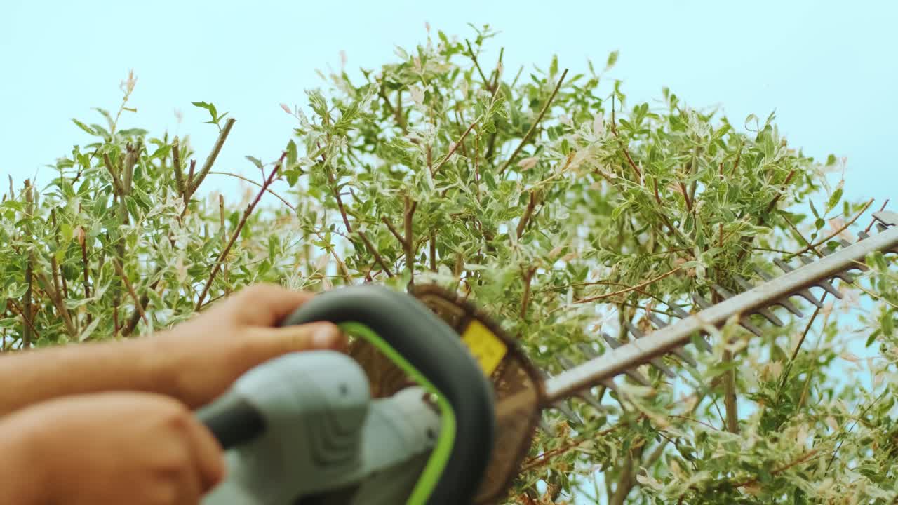 정원 가공자: 을 위한 전기 트리머와 함께 그린 파크에서 나무를 잘라내는 정원 노동자: 정원에서 나무를 형성하는 노동자: 뒷마당에서 오렌지 전기 트리마와 함께 나무 식물을 잘라내는 노동자.