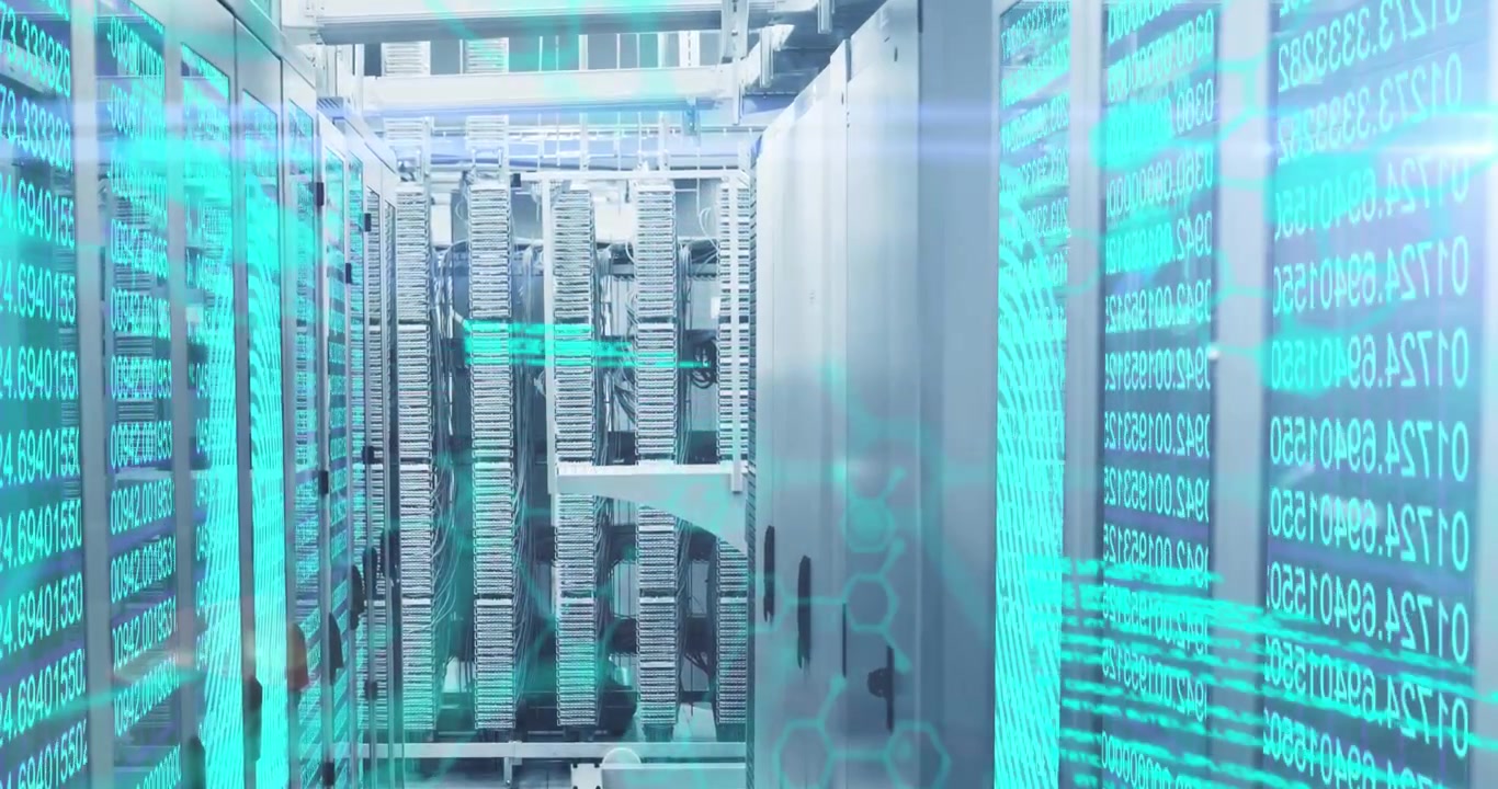 Animation of data processing over servers