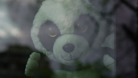 Plush-stuffed-panda-bear-toy-in-car-behind-the-glass