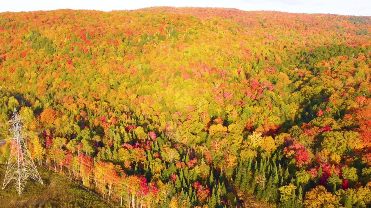 Drone strafing over the electric towers also called pylons that are jutting the La V&eacute;rendrye Wildlife Reserve landscape in Montr&eacute;al, Qu&eacute;bec, in Canada