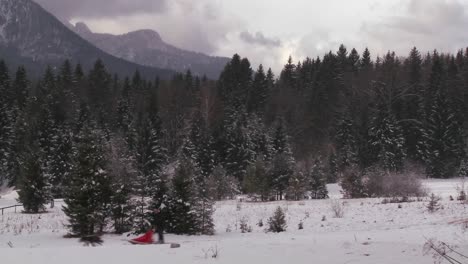 Schlittenhunde-Ziehen-Einen-Reiter-über-Eine-Gefrorene-Landschaft