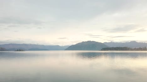 that wanaka tree drone fly underneath - wanaka new zealand