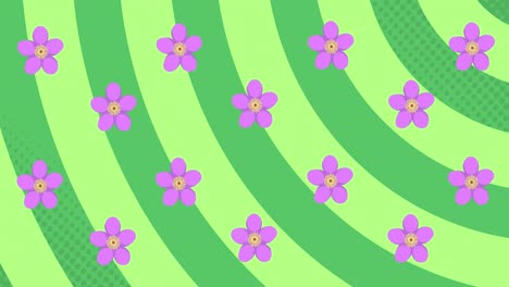 Animation-Von-Violetten-Blumen,-Die-Sich-über-Einem-Grün-Gestreiften-Hintergrund-Drehen