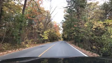 Car,-way-and-tree-together-timelapse