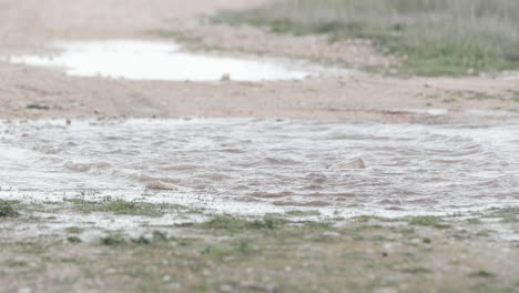 Andar-En-Bicicleta-A-Través-De-Charcos-De-Agua-En-Una-Aventura-Todoterreno---Cámara-Lenta