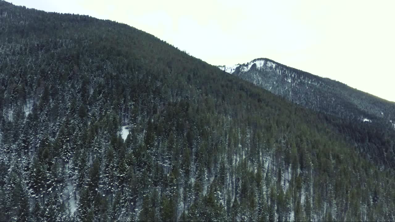 공중 - 눈이 빽빽한 숲이 우거진 언덕