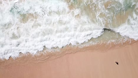 Hawaii-Aerial-Drone-View-of-waves-hitting-beach.mp4