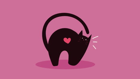 un lindo gato negro con corazón