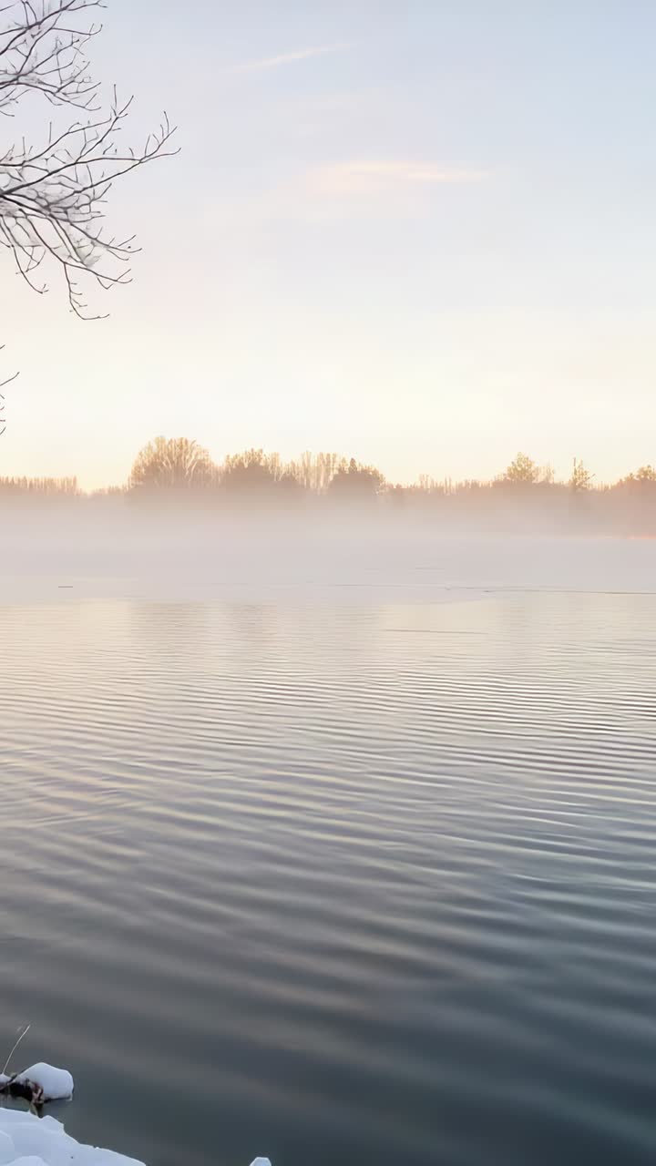 Vertical video: Rippling lake water with sun rising at shore, mist drifting, bare branch snow stub