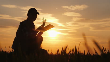 Young-Woman-Farmer-Studying-The-Seedlings-Of-A-Plant-In-A-Field-Using-A-Tablet