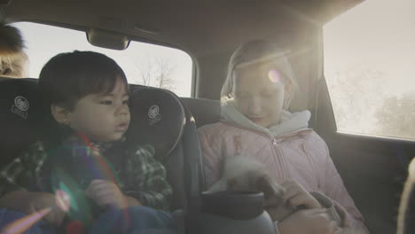 children with a puppy in their arms travel in the back seat of a car