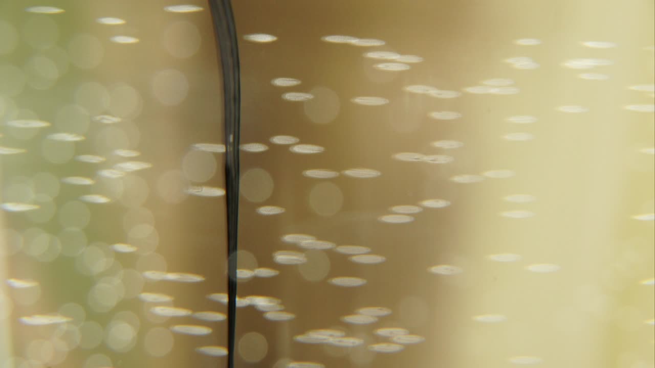 집중되지 않은 물에 있는 잉크