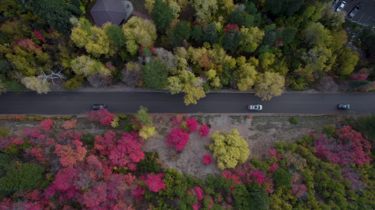 항공:가을에 형형색색의 산림 나무 사이를 달리는 자동차의 탑샷