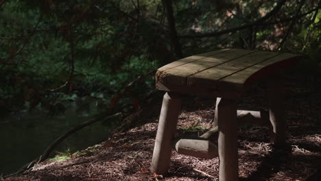 a closeup shot of a wooden bench and a forest river that lies behind a bench