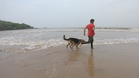 Die-Freundschaft-Von-Hunden-Und-Ihren-Herrchen,-Die-Fröhlich-Am-Strand-Herumlaufen