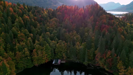 Hermoso-Bosque-Otoñal-Junto-Al-Lago-Toplitz,-Austria-De-Drone---Cabaña-Residencial-En-La-Orilla-Del-Lago-Toplitz