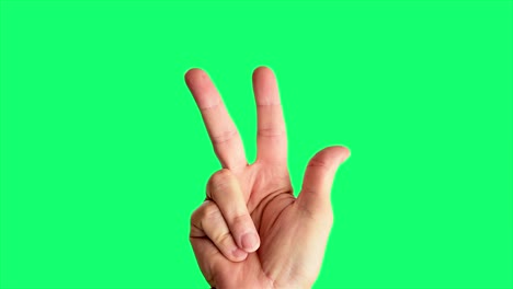 close up shot of a male hand throwing a classic peace or gang sign, against a greenscreen background ideal for chroma keying