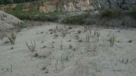 gradual water accumulation transforming barren quarry into verdant pool, revealing natural landscape evolution through aerial perspective of rocky terrain